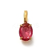 Ion Plating(IP) 304 Stainless Steel Rhinestone Pendants STAS-A104-11G-06-1