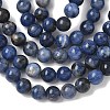 Natural Sodalite Beads Strands X-G-G515-6mm-07-2