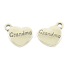Tibetan Style Alloy Pendants TIBEP-5408-AS-FF-1