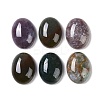 Natural Indian Agate Cabochons G-B080-01A-25-1
