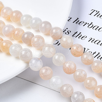 Natural Crackle Agate Beads Strands G-S359-240B-2-1