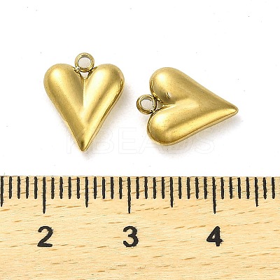 304 Stainless Steel Pendants STAS-L022-108G-07-1