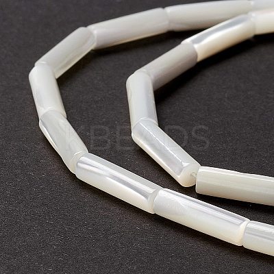 Natural Trochid Shell/Trochus Shell Beads X-SSHEL-O001-26B-1