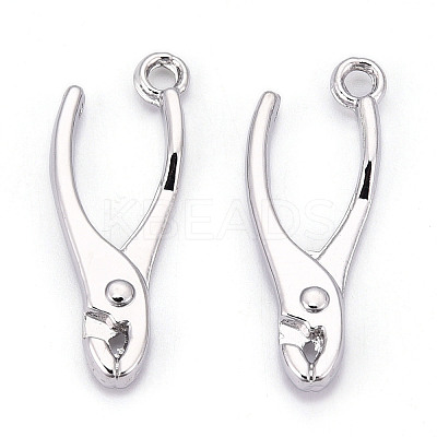 Alloy Pendants X1-PALLOY-N176-120P-1