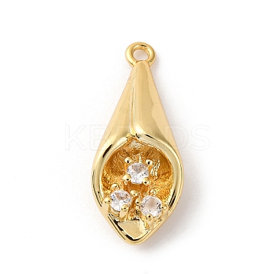 Brass Pave Clear Cubic Zirconia Pendants KK-V016-07G-1