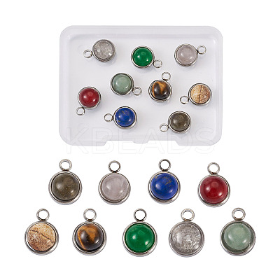 9Pcs 9 Styles Natural Mixed Stone Charms G-FW0001-28-1