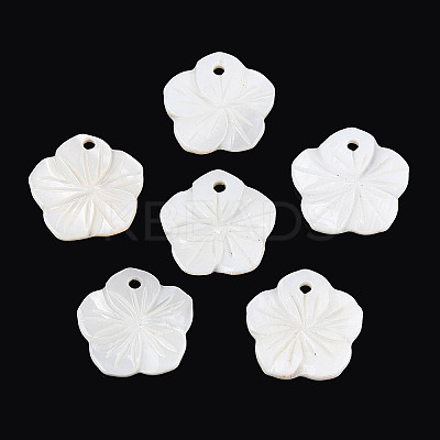 Natural Freshwater Shell Carved Pendants SHEL-N038-13-1