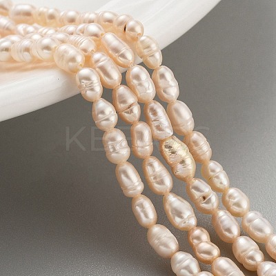 Natural Cultured Freshwater Pearl Beads Strands PEAR-P062-01B-1