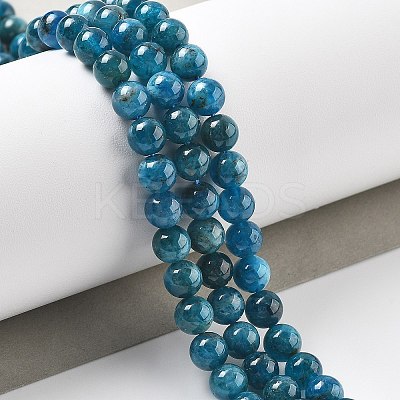 Natural Apatite Beads Strands G-O186-G01-01-1
