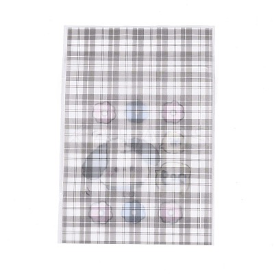 Rectangle Plastic Packaging Resealable Bags OPP-T003-01D-1