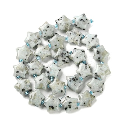 Natural Sesame Jasper/Kiwi Jasper Beads Strands G-NH0005-018-1