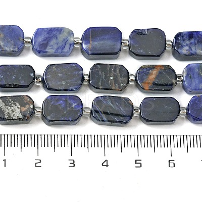 Natural Sodalite Beads Strands G-C098-A08-01-1