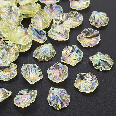 Transparent Acrylic Pendants MACR-S373-73-C03-1