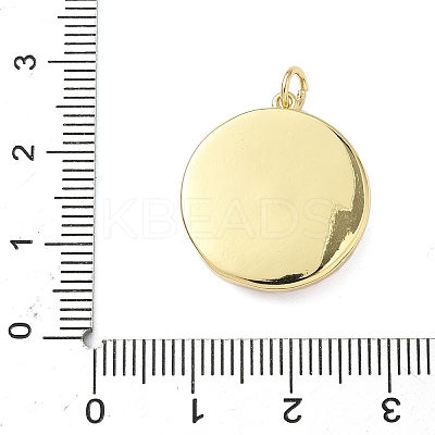 Brass Enamel Rotating Pendants X-KK-C110-05G-1