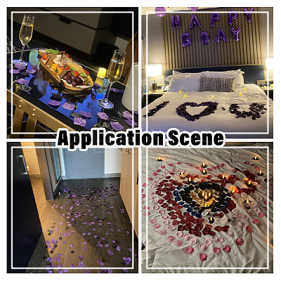 100G Satin Artificial Rose Petals DIY-SP0005-68D-1