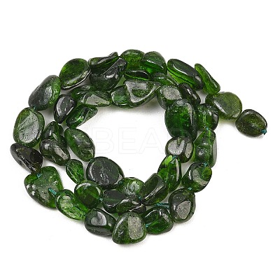 Natural Green Diopside Beads Strands G-G464-A01-02-1