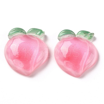 Resin Decoden Cabochons CRES-J046-03I-1