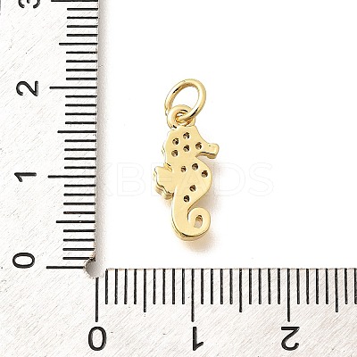 Brass Micro Pave Clear Cubic Zirconia Charms KK-Q040-04A-G-1