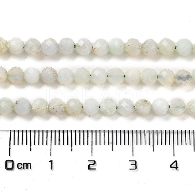 Natural Green Opal Beads Strands G-Z035-A02-03B-1