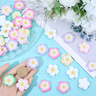Plumeria Flower Opaque Resin Cabochons CRES-BM0001-01B-1