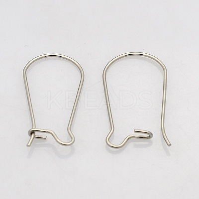 Tarnish Resistant 316 Surgical Stainless Steel Hoop Earrings STAS-N019-07-1