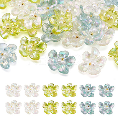 24Pcs 3 Colors AB Color Transparent Epoxy Resin & ABS Pearl Decoden Cabochons CRES-TA0001-45-1