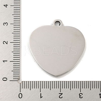 Non-Tarnish 201 Stainless Steel Pendants STAS-L079-25P-05-1