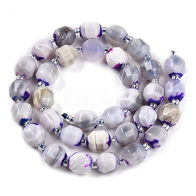 Natural Agate(Dyed) Beads Strands G-T141-05A-1