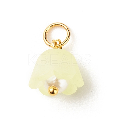 Transparent Acrylic Charms PALLOY-JF01604-01-1