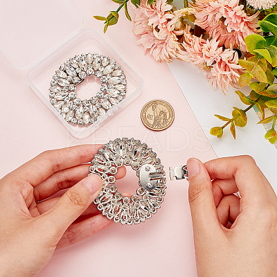 Alloy Crystal Rhinestone Shoe Decoration DIY-FG0003-73-1