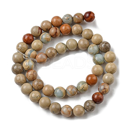 Natural Aqua Terra Jasper Strands G-S150-50-10mm-1
