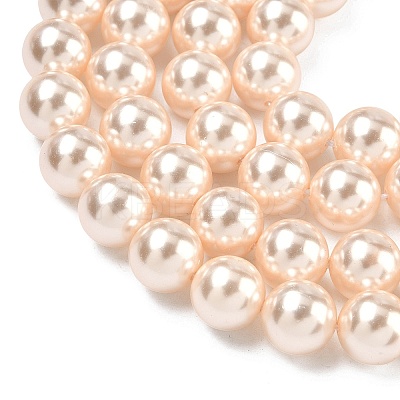 Electroplated Shell Pearl Beads Strands BSHE-G041-10mm-04-1
