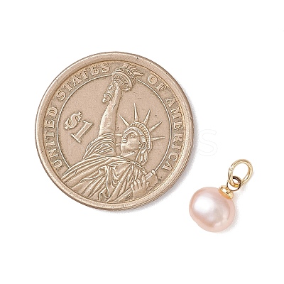 Natural Cultured Freshwater Pearl Two Sides Polished Charms PALLOY-JF04916-01-1