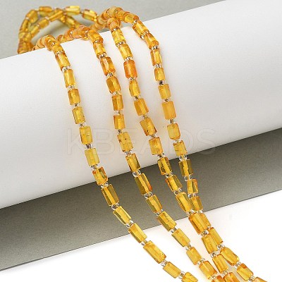 Natural Amber Beads Strands G-K387-G01-01-1
