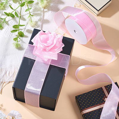 Polyester Organza Ribbon TAC0006-01A-1