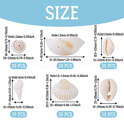 DIY Natural Shell Jewelry Making Finding Kits DIY-BT0001-37-1