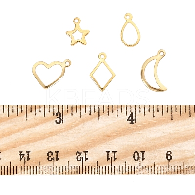 60Pcs 5 Styles 304 Stainless Steel Charms STAS-FS0001-87-1
