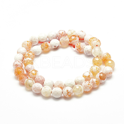 Natural Fire Crackle Agate Bead Strands G-G882-8mm-B06-6-1