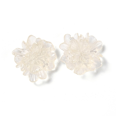 Transparent Resin Cabochons LS-X-RESI-G027-01A-1