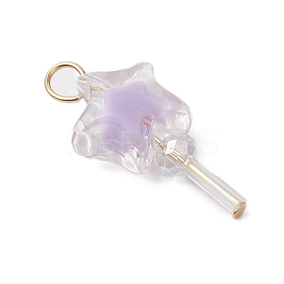 5Pcs Acrylic & Glass Pendants PALLOY-JF03526-01-1
