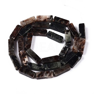 Natural Biotite Beads Strands G-T141-103-1