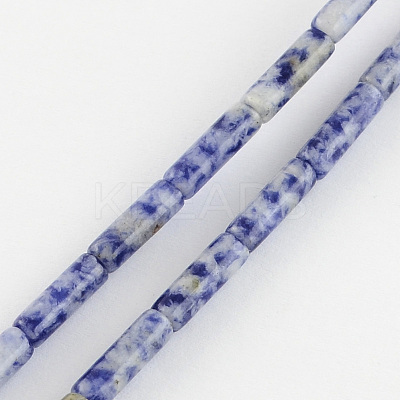 Natural Blue Spot Gemstone Beads Strands G-R181-16-1