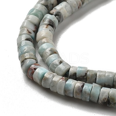 Natural Larimar Beads Strands G-Q024-B03-01-1