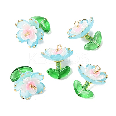 Transparent Acrylic Pendants PALLOY-MZ00823-03-1