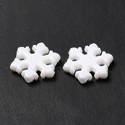Opaque Acrylic Beads X-MACR-J123-24-1