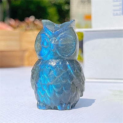 Natural Labradorite Carved Healing Owl Figurines PW-WG54127-01-1