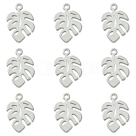 304 Stainless Steel Charms LS-STAS-CJC0008-15P-1