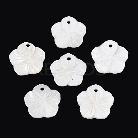 Natural Freshwater Shell Carved Pendants SHEL-N038-13-1
