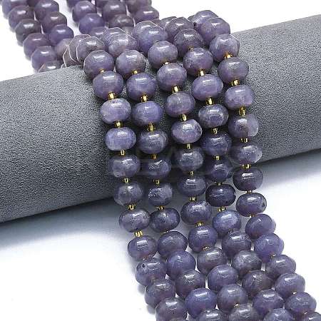 Natural Lepidolite/Purple Mica Stone Beads Strands G-P573-B05-01-1