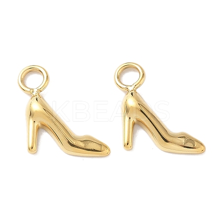 304 Stainless Steel Charms KK-D503-29G-1